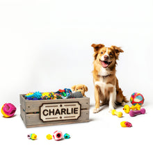 Įkelti vaizdą į galerijos rodinį, Medinė dėžė šuns žaislams, Dovana šuniukų augintojams