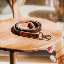 Įkelti vaizdą į galerijos rodinį, Odinis šuns pavadėlis, Dovana šunų augintojams