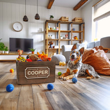 Įkelti vaizdą į galerijos rodinį, Medinė šuns žaislų dėžė