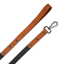 Įkelti vaizdą į galerijos rodinį, Odinis šuns pavadėlis, Dovana šunų augintojams