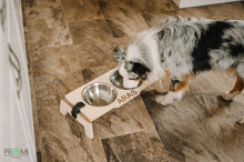 Įkelti vaizdą į galerijos rodinį, Šuns Dubenėliai - Šuns Dubenėliai Su Platforma