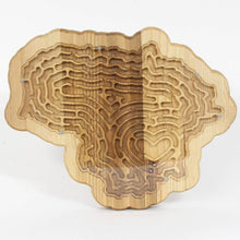 Įkelti vaizdą į galerijos rodinį, Lavinamasis žaislas - Labirintas Medinis (Šalies Pasirinkimas)