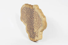 Įkelti vaizdą į galerijos rodinį, Lavinamasis žaislas - Labirintas Medinis (Šalies Pasirinkimas)